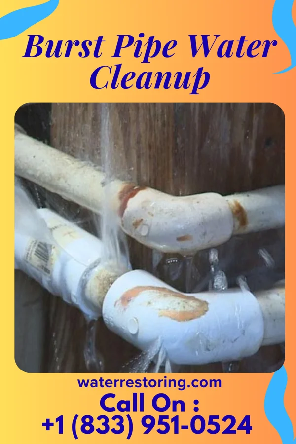 Burst Pipe Water Cleanup in Wesley Hills, NY