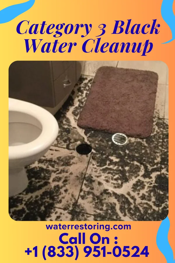 Category 3 Black Water Cleanup in Wesley Hills, NY