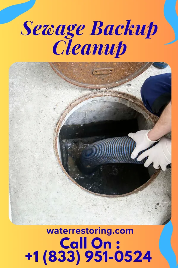 Sewage Backup Cleanup in Wesley Hills, NY