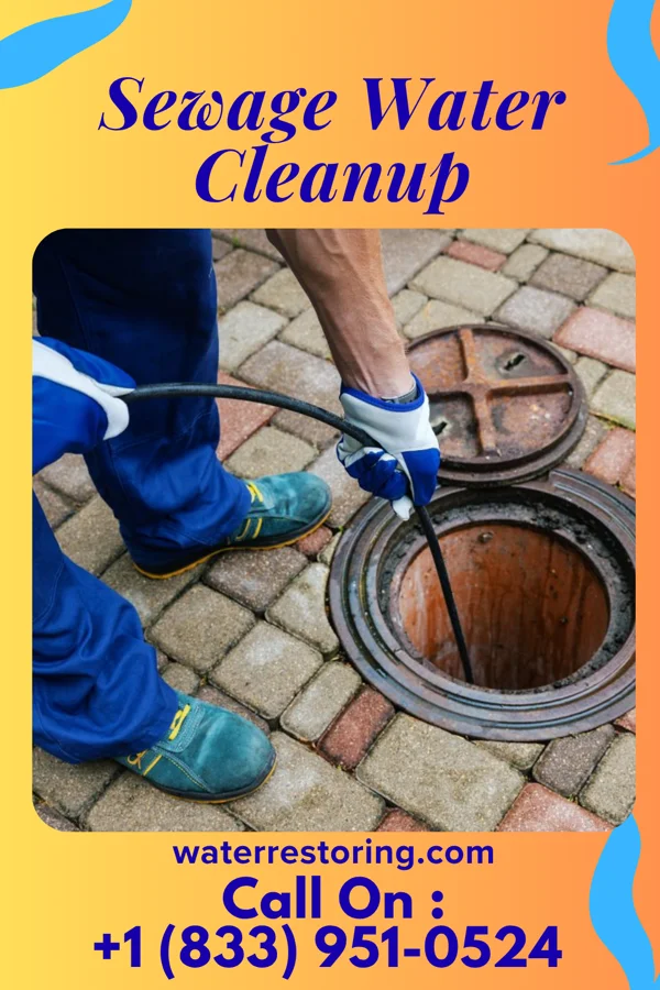 Sewage Water Cleanup in Wesley Hills, NY